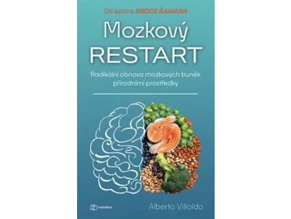 Mozkový restart