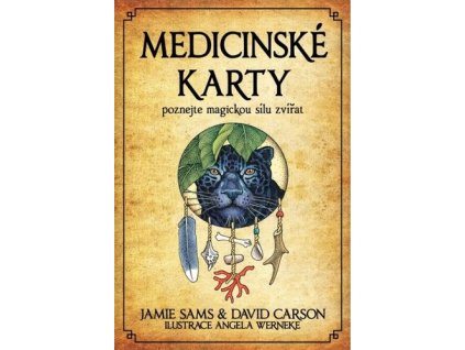 Medicinské karty