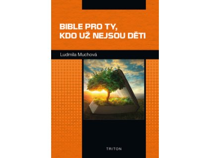 Bible pro ty, kdo už nejsou děti