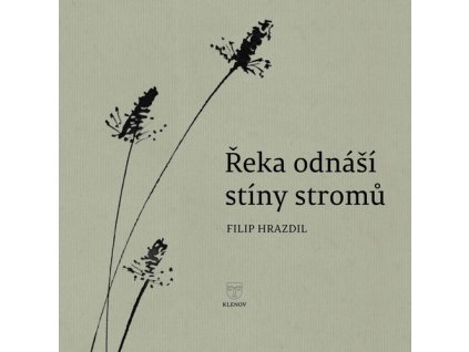 Řeka odnáší stíny stromů