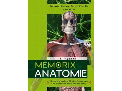 Memorix anatomie