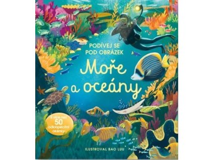 Podívej se pod obrázek Moře a Oceány