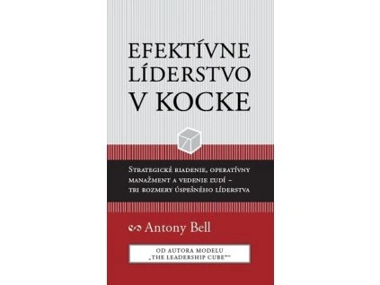 Efektívne líderstvo v kocke