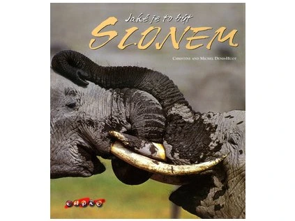 Jaké je to být slonem