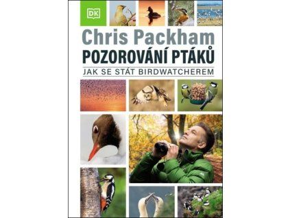 Pozorování ptáků