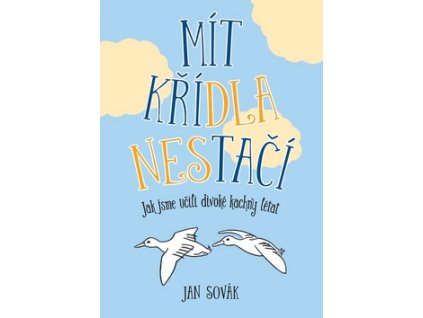 Mít křídla nestačí