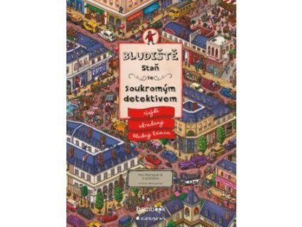 Bludiště Staň se soukromým detektivem