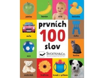 Prvních 100 slov