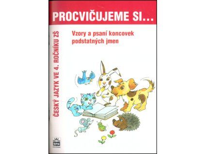 Vzory a psaní koncovek podstatných jmen