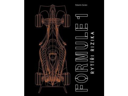 Formule 1 Rytíři rizika