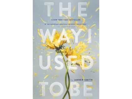 The Way I Used to Be