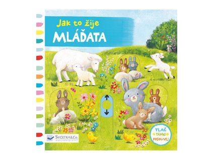 Jak to žije Mláďata