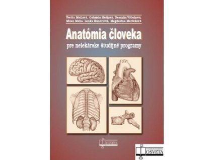 Anatómia človeka pre nelekárske štúdijné programy