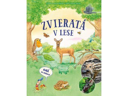 Zvieratá v lese