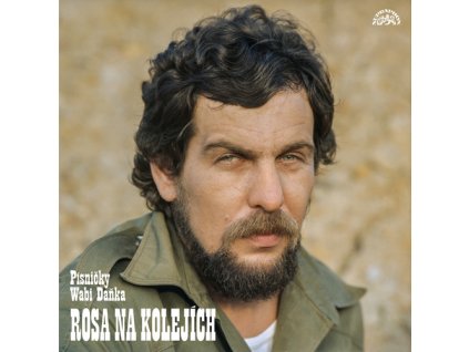 Rosa na kolejích
