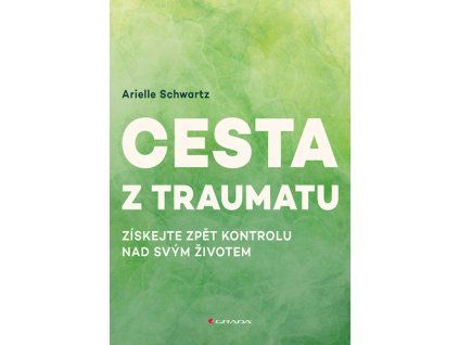 Cesta z traumatu