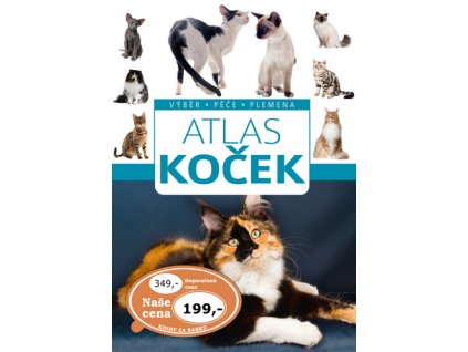 Atlas koček