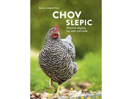 Chov slepic