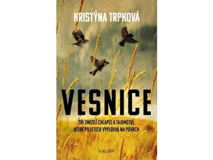 Vesnice