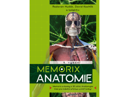 Memorix anatomie