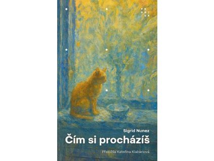 Čím si procházíš