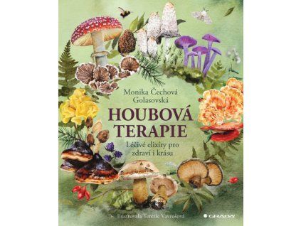 Houbová terapie
