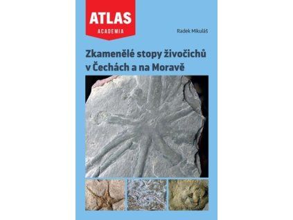 Zkamenělé stopy živočichů v Čechách a na Moravě