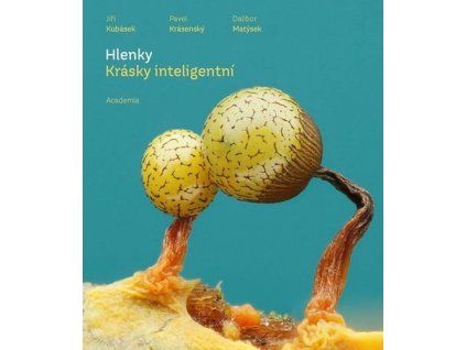 Hlenky