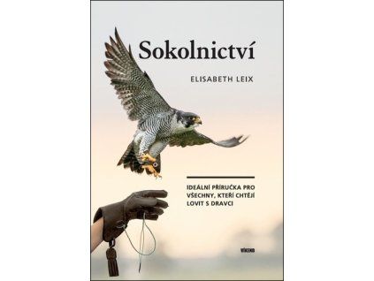 Sokolnictví