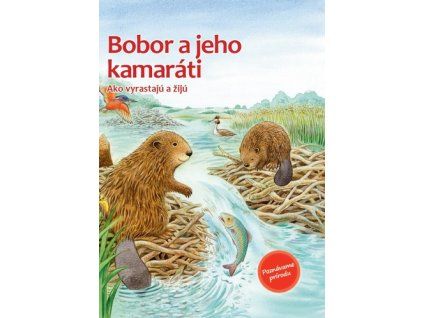 Bobor a jeho kamaráti