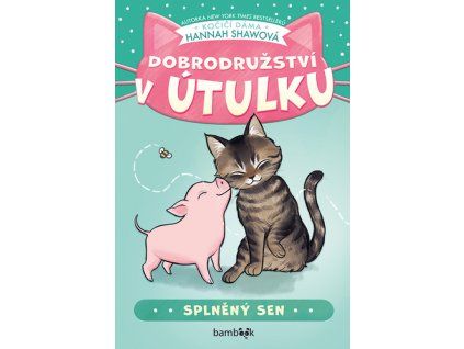 Dobrodružství v útulku Splněný sen
