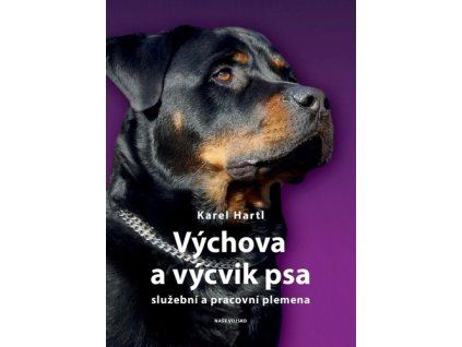Výchova a výcvik psa