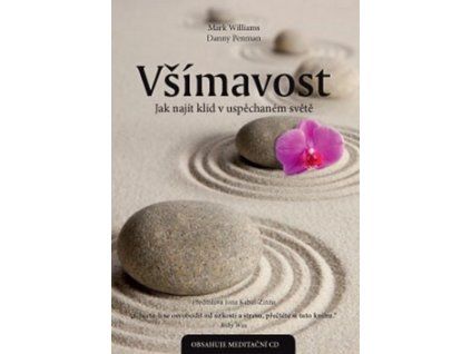 Všímavost