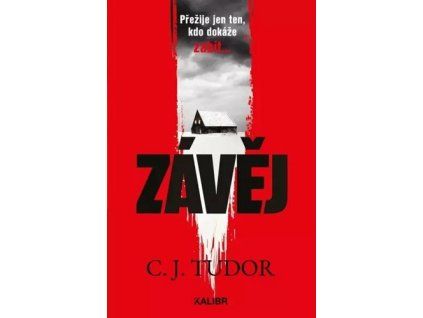 Závěj