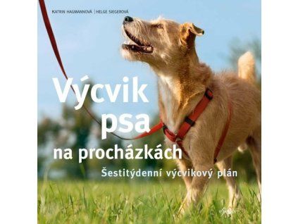 Výcvik psa na procházkách