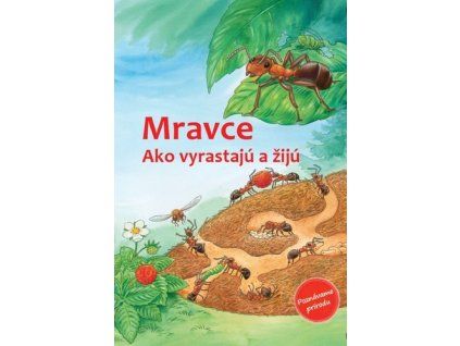 Mravce