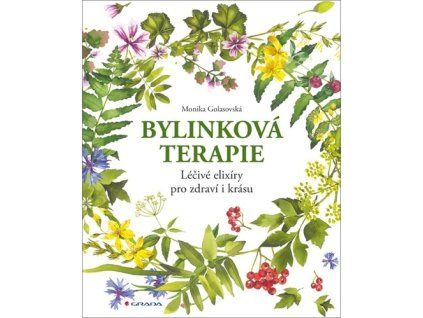 Bylinková terapie