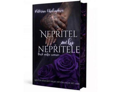 Nepřítel mého nepřítele