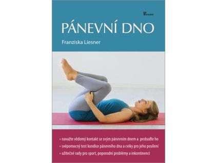 Pánevní dno