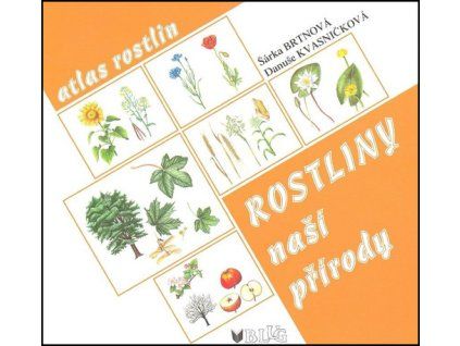 Rostliny naší přírody