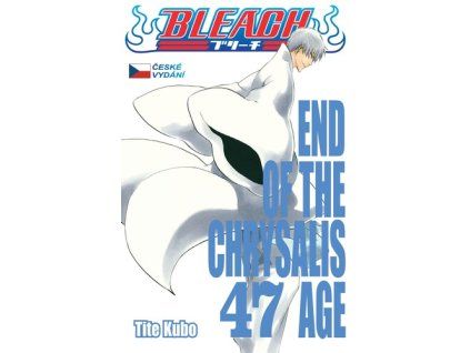 Bleach 47