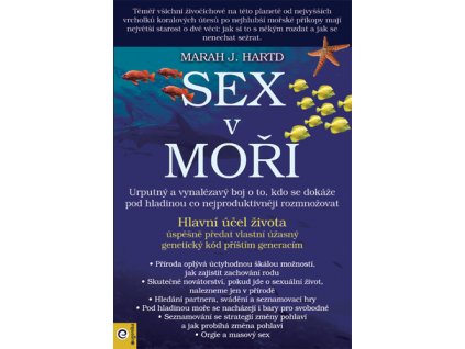 Sex v moři