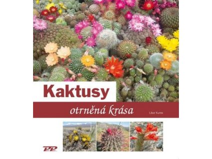 Kaktusy