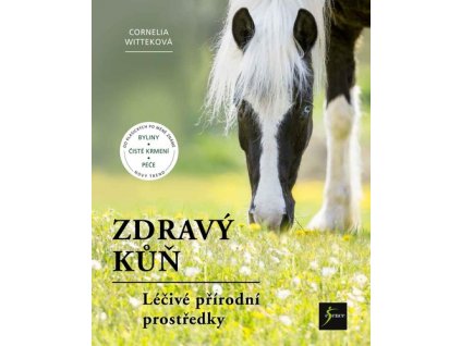 Zdravý kůň