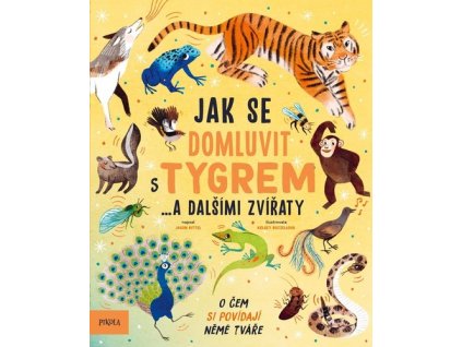 Jak se domluvit s tygrem…