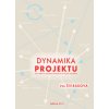 Dynamika projektu