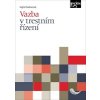 Vazba v trestním řízení