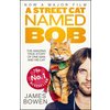 A Street Cat Named Bob