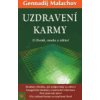 Uzdravení karmy