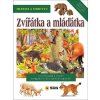 Zvířátka a mláďátka Hledej a objevuj